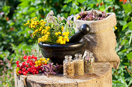 Гомеопатия реально помогает или это эффект плацебо