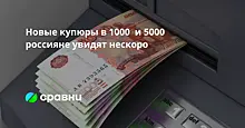 Новые купюры в 1000  и 5000  россияне увидят нескоро