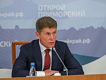 Полетели головы: после встречи с Кожемяко уволены несколько чиновников