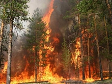 Спасатели из Пензы выехали в Нижегородскую область на ликвидацию пожаров