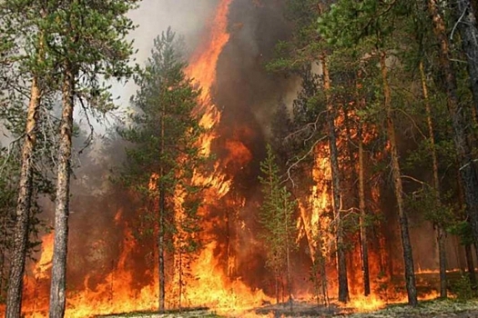 Дым от лесных пожаров почувствовали в двух районах Приангарья