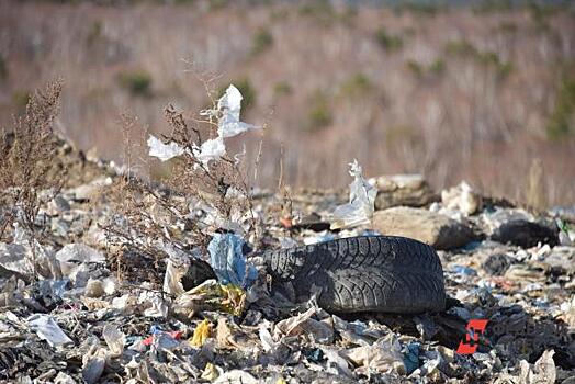 На территории заказника под Омском обнаружена свалка биологических отходов
