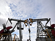 «Газпром нефть» спрогнозировала цены на топливо в 2023 году