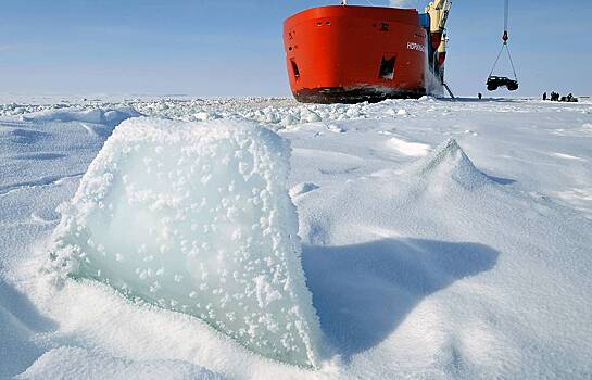 Российские ученые сделали уникальное открытие в Арктике