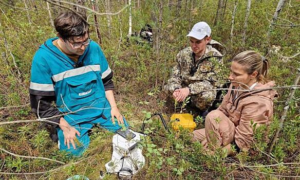 Карбоновый полигон ТюмГУ получит крупномасштабную почвенно-геохимическую карту