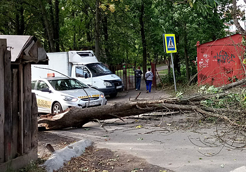 Деревья падали, машины страдали