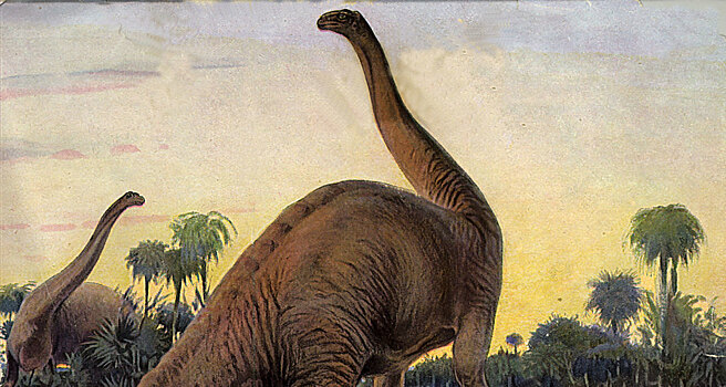 Походка крупных динозавров напоминала слоновью