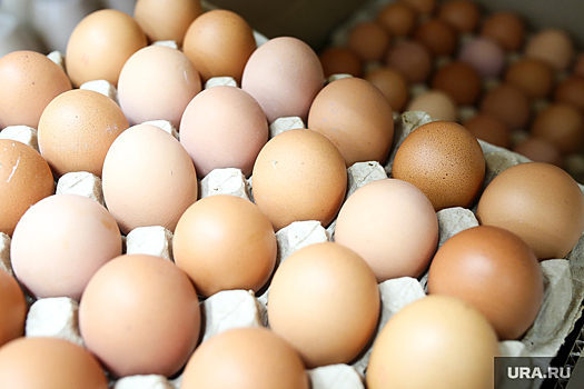 В ХМАО упали цены на яйца