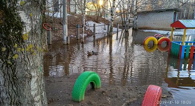 В Кирове на затопленной территории детского сада плавают утки