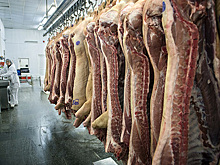 Белоруссия ограничила поставки мясной продукции в РФ
