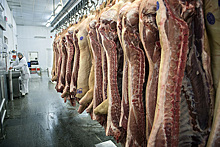 Белоруссия ограничила поставки мясной продукции в РФ