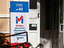 Почти 2,5 млн москвичей приняли участие в голосовании на выборах в Мосгордуму
