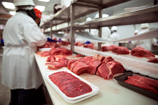 Россия увеличила импорт рыбы и морепродуктов из Ирана на 25%