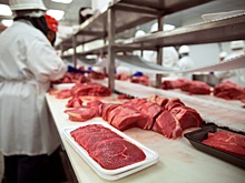 Россия серьёзно нарастила экспорт мясных продуктов и яиц в 2023 году