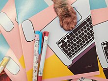 Скоро в школу: что купить прямо сейчас, чтобы не думать об этом потом