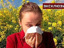 Врач рассказала, как избежать приступов сезонной аллергии