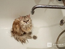 Опубликован график отключения горячей воды в Нижнем Новгороде