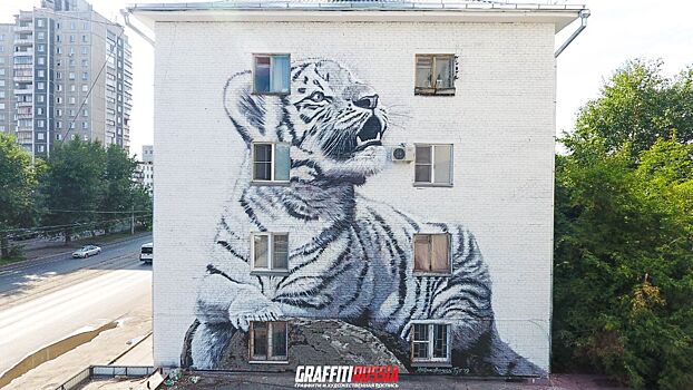 В Челябинске тигренок, живущий на фасаде дома, скоро встретится с мамой