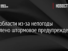 В Ленобласти из-за непогоды объявлено штормовое предупреждение