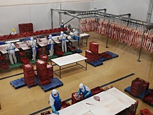 Тамбовский Центр распределения мяса компании Ашан наращивает производство