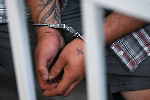 Сбежавший из-за действий следователя педофил попался в руки полиции