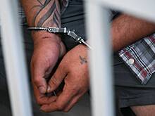 Сбежавший из-за действий следователя педофил попался в руки полиции