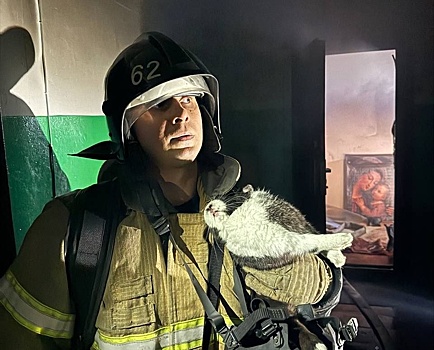 Кролика и его хозяйку спасли на пожаре в Дзержинске