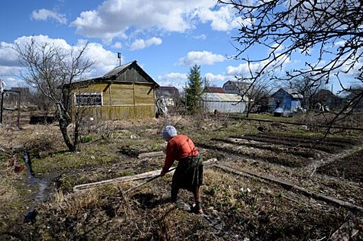 ЦСР предложил провести земельную реформу в России