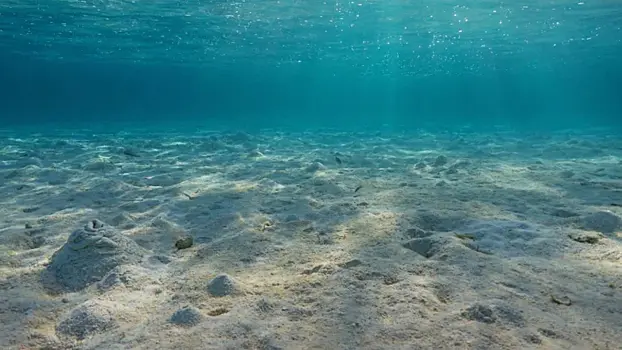 Откуда на дне моря появились тысячи ям