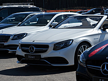 Завод Mercedes в Подмосковье строят в соответствии с графиком