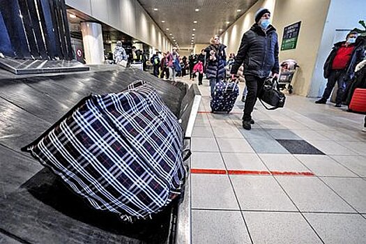Невменяемый россиянин решил полетать «зайцем» и залез в багажный отсек самолета