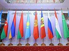В России заявили о необходимости единого учебника истории для СНГ