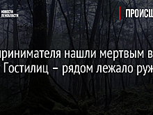 Предпринимателя нашли мертвым в лесу у Гостилиц – рядом лежало ружье