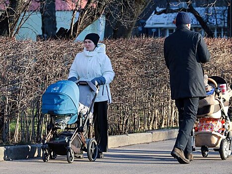 В ГД предложили дополнительные меры поддержки для многодетных семей