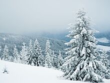 Туристы заблудились в горах из-за маршрута нейросети