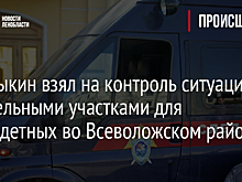 Бастрыкин взял на контроль ситуацию с земельными участками для многодетных во Всеволожском районе