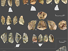 В Китае нашли новое место жительства неандертальцев