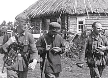 Отряд-«призрак»: как партизаны Николая Козина воевали против СССР