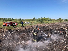 Мэр Новосибирска Локоть поручил помочь с ликвидацией тления на свалке