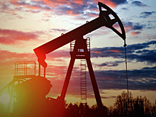 России хватит нефти на четверть века: подсчитаны запасы «Черного золота»