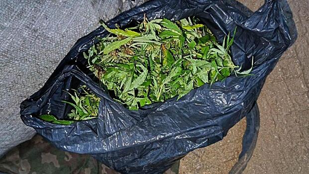 В Еврейской автономной области полицейские в ходе погони задержали мотоциклиста с 2,8 кг марихуаны