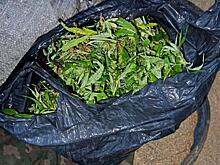 В Еврейской автономной области полицейские в ходе погони задержали мотоциклиста с 2,8 кг марихуаны