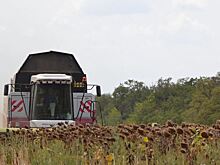 В Ростовской области по всем культурам урожайность в 2021 году превышает прошлогодние показатели