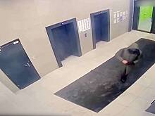 Стало известно о странном поведении киллера после выстрела в генерала Алексеева