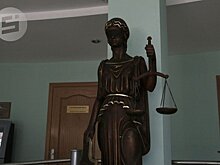 Жителя Удмуртии отправят на 20 лет в колонию за изнасилование падчерицы