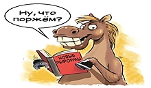 Пять звезд для бобика