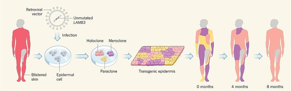 Точная медицина: какие технологии найдут каждому пациенту свое лекарство