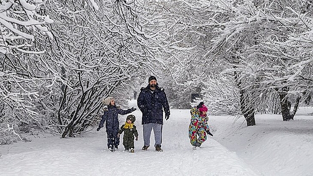 Синоптик спрогнозировал снежную зиму в Москве