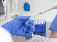 Показатели заболеваемости корью в России были превышены в 2024 году