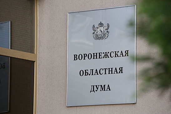 В Воронежской области усовершенствовали закон "О статусе многодетной семьи"
